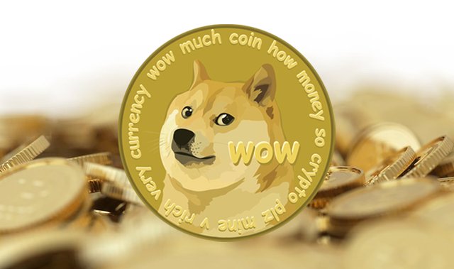 I fell in love with Dogecoin — Steemit