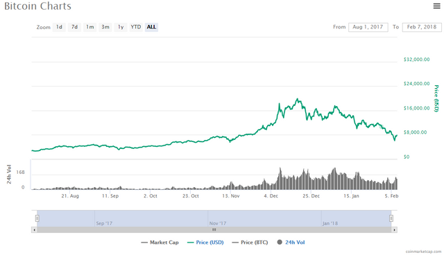 Bitcoin 7 month chart