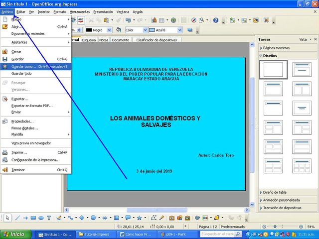 p10.JPG