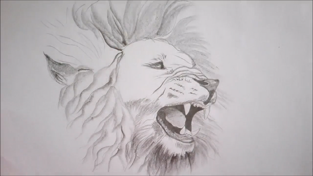 Original White Charcoal Lion Drawing+Progress Photos — Steemit