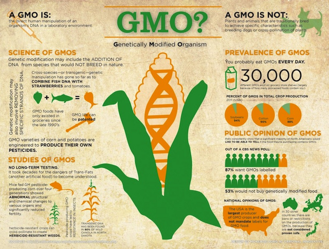 gmo negatives and positives
