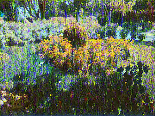 1565015782.jpg
