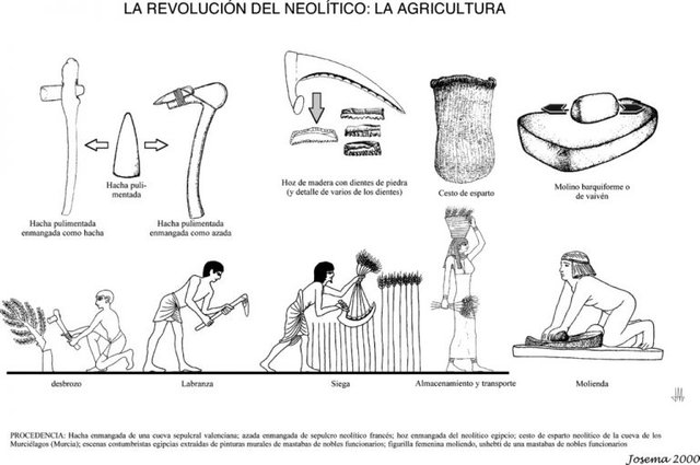 2.1.-Revolution-neolithic-agriculture-768x510.jpg