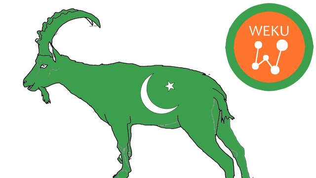 MarKhor Pakistan ISI.jpg