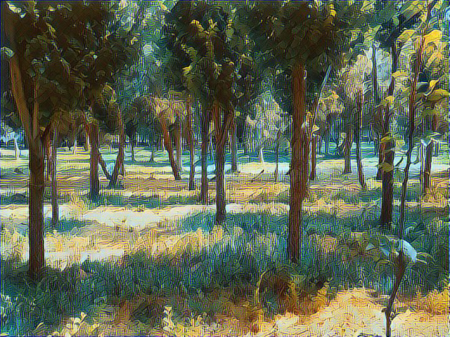 1565015586.jpg