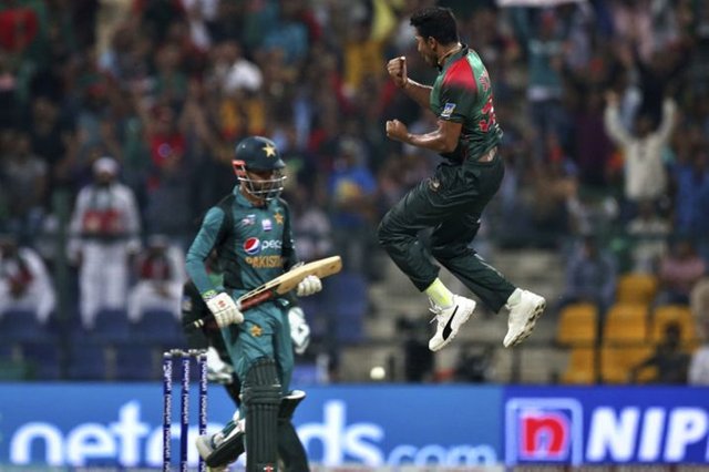 shadab-ap-1537988306.jpg