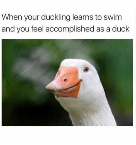 Quack