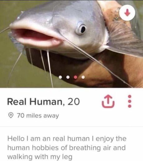 I think I&#039;ve been &quot;catfished&quot;