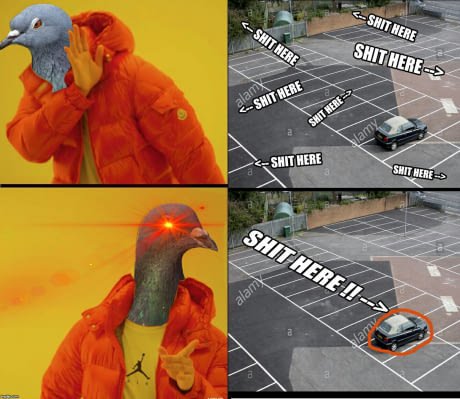 Birb logic