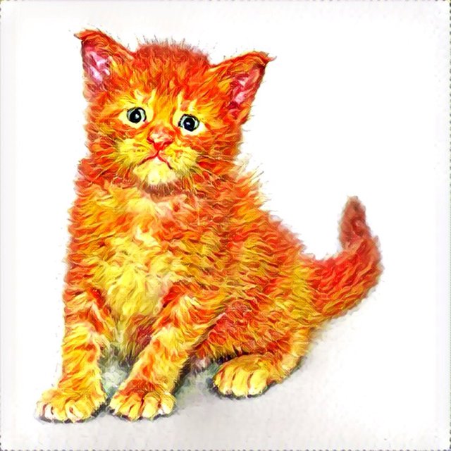 Kitten prism