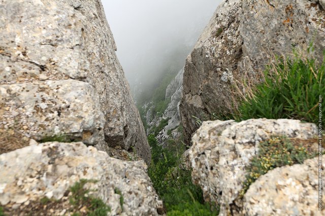 фото с вершины горы Ай-Петри