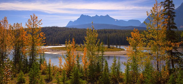 Bow River in the Fall
