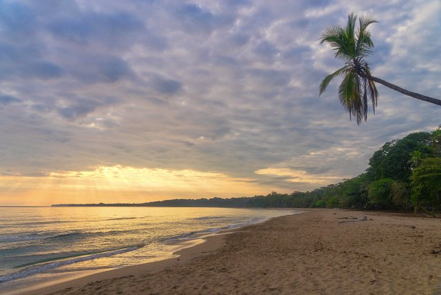 Tropical Sunrise in Playa Cocles, Puerto Viejo. Costa Rica.