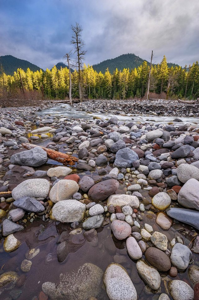 Nisqually River in Rainier National Park