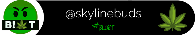 Blurt_skylinebuds_2.png