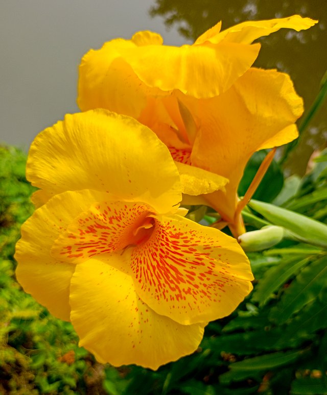 IMG20240530093448.jpg