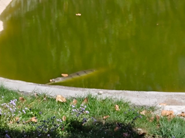IMG_20250330_140934151.jpg