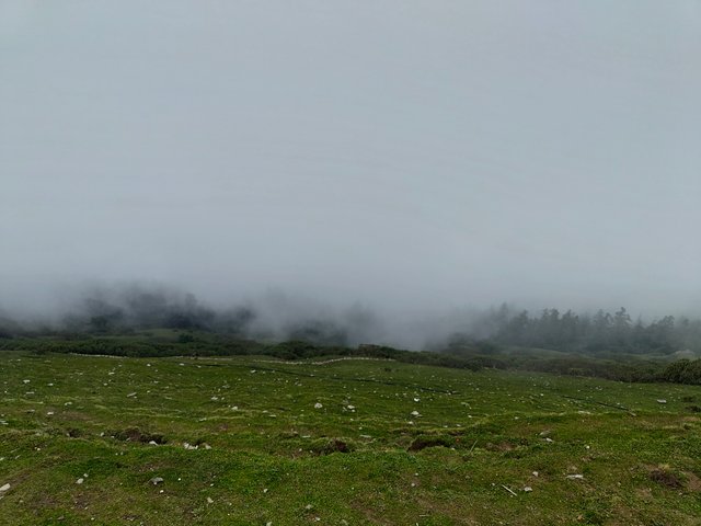 IMG_20250608_113406871.jpg