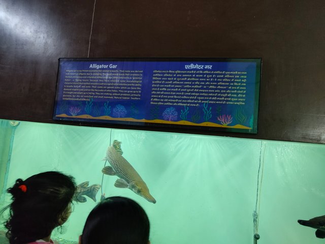 IMG_20250330_142325207.jpg