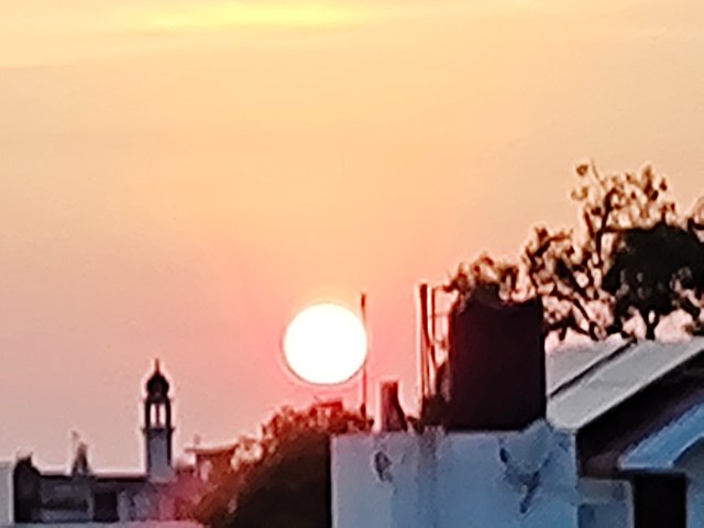 IMG_20250719_191011929.jpg