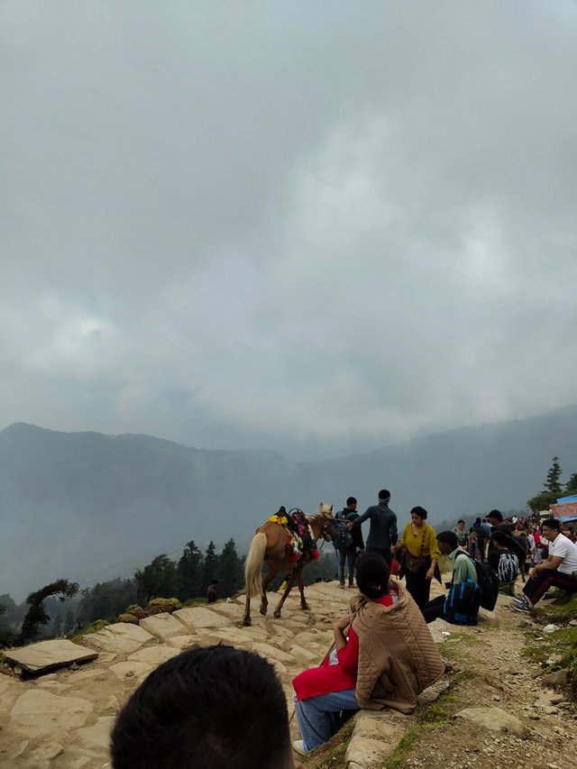 IMG_20250608_104015697.jpg