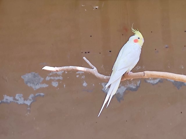 IMG_20250330_135338344.jpg