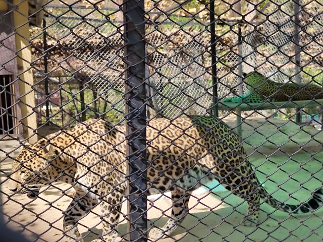 IMG_20250330_143257214.jpg