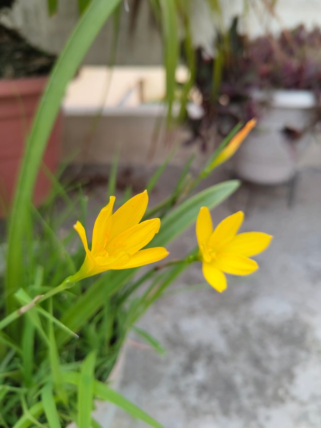 1000417128.jpg