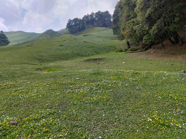 IMG_20250609_103659306.jpg