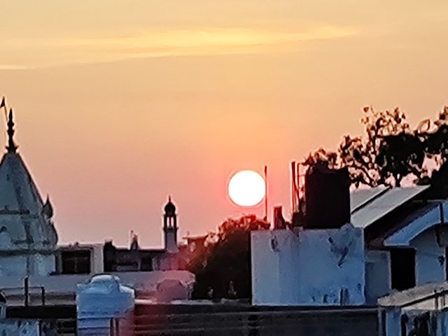 IMG_20250719_191006769.jpg