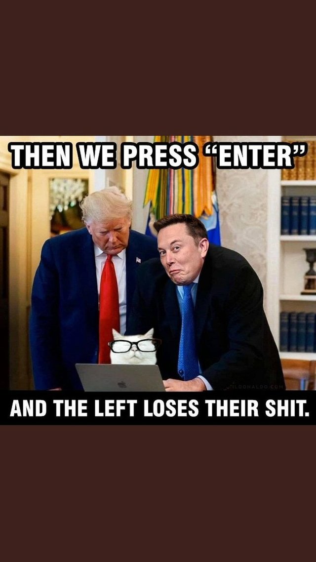 3f43e236c8372e29.jpeg