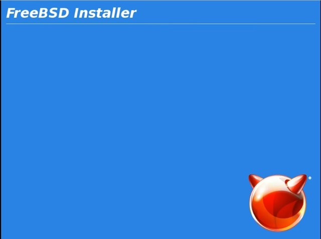 freebsd-installer1.jpg