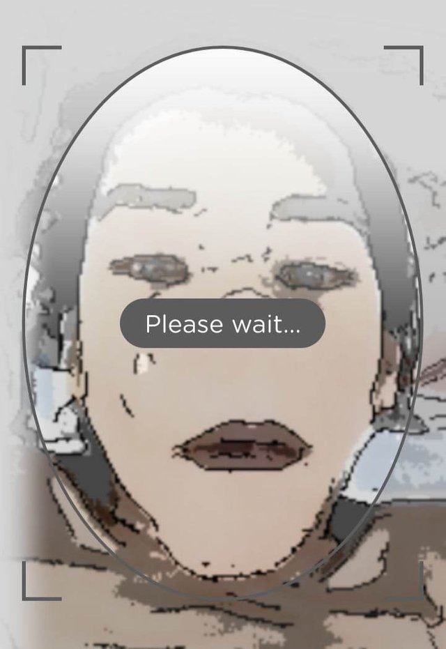 facescanerror.jpg