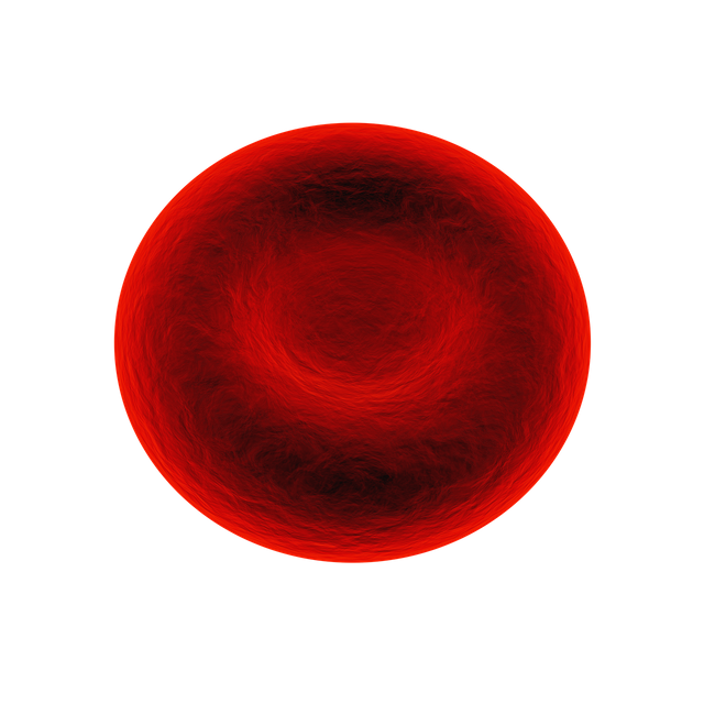red-blood-cell-1861640_1280.png