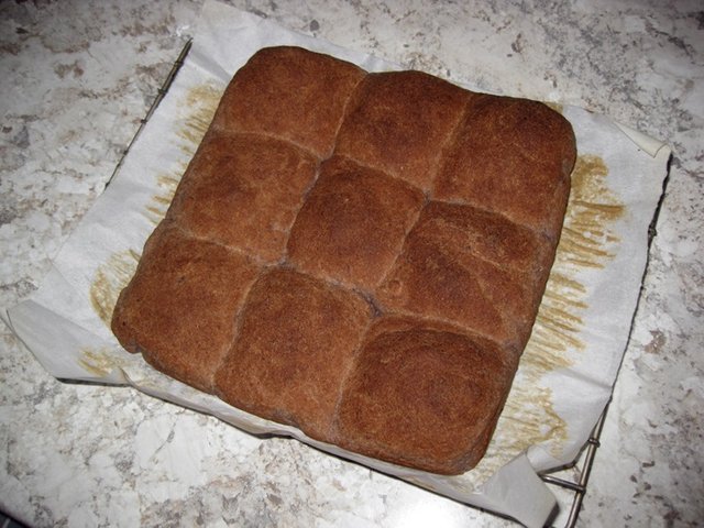 bun1.JPG