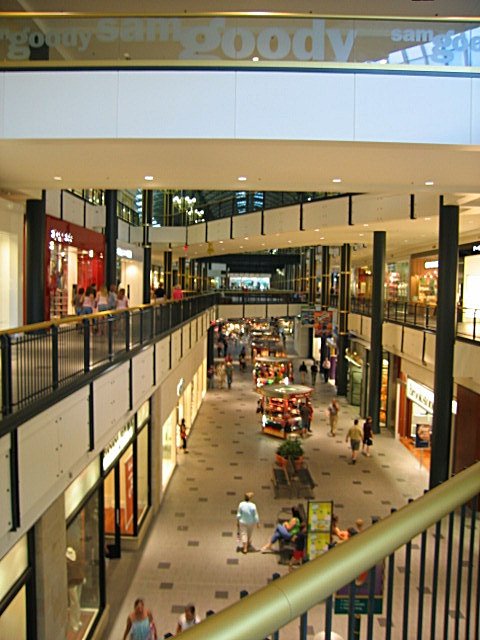 m8 - Copy.JPG