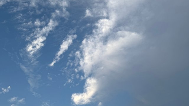 IMG_4869.jpeg