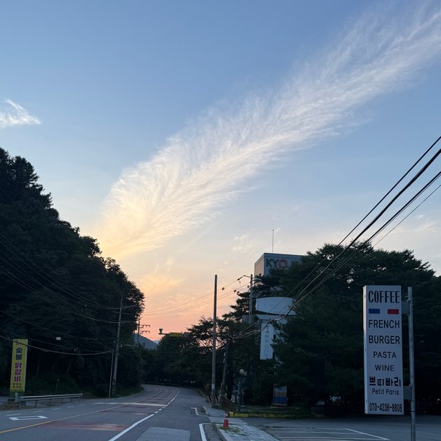 IMG_4647.jpeg