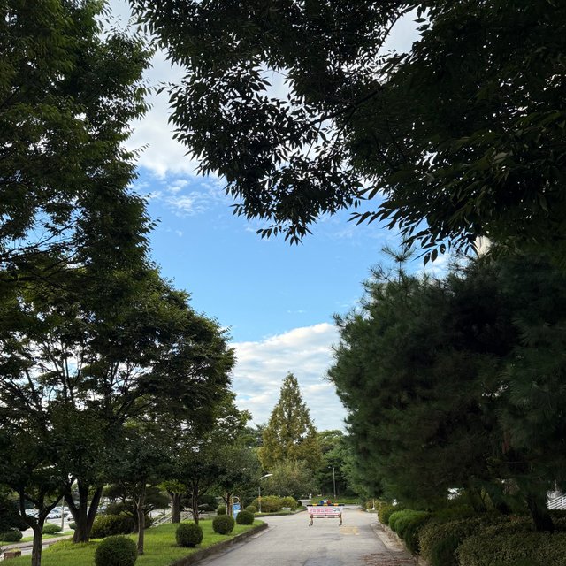 IMG_5401.jpeg