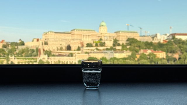 IMG_3928.jpeg
