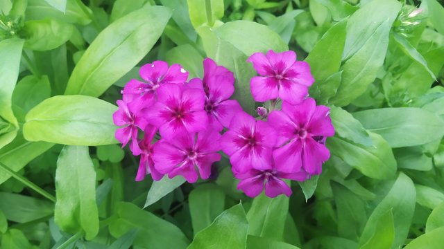 IMG_20220108_121408.jpg