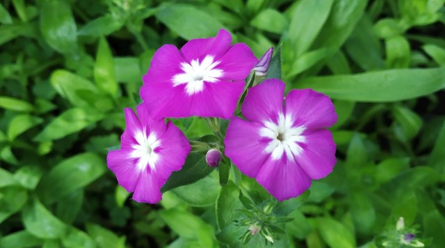 IMG_20220108_132359.jpg