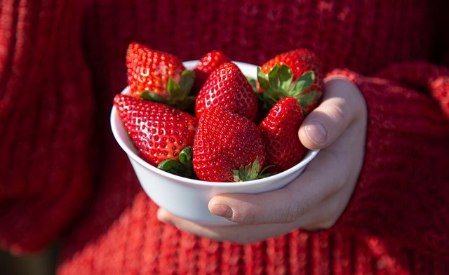 woman-red-knitted-sweater-holds-plate-appetizing-strawberries_169016-19848.jpg