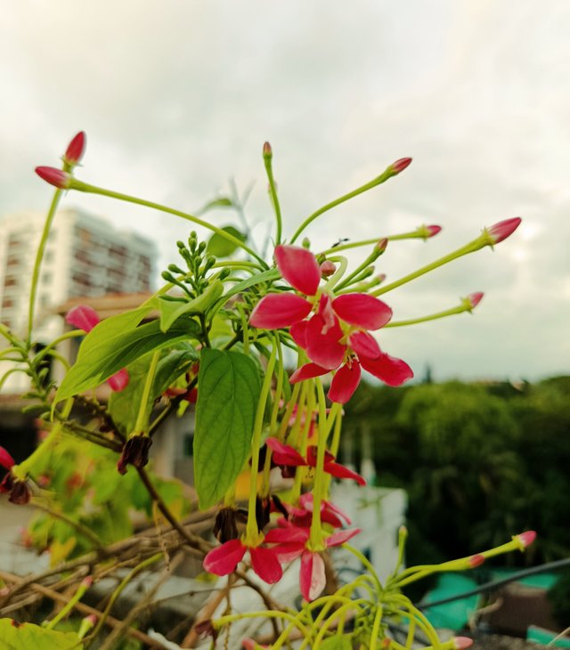 IMG_20250723_175617.jpg