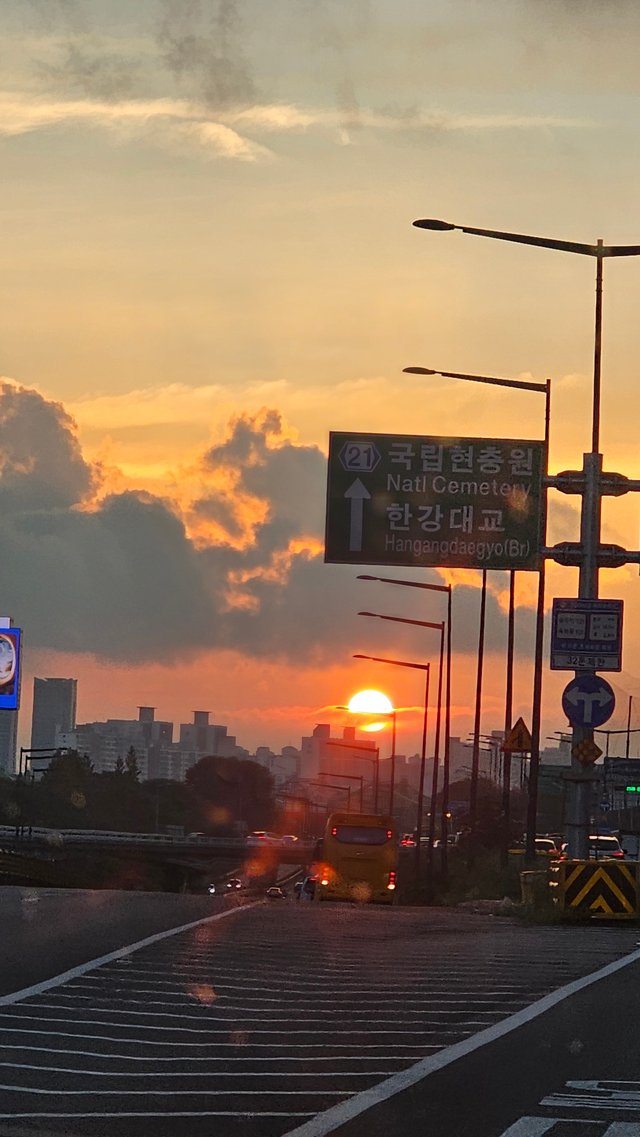 4951.jpg