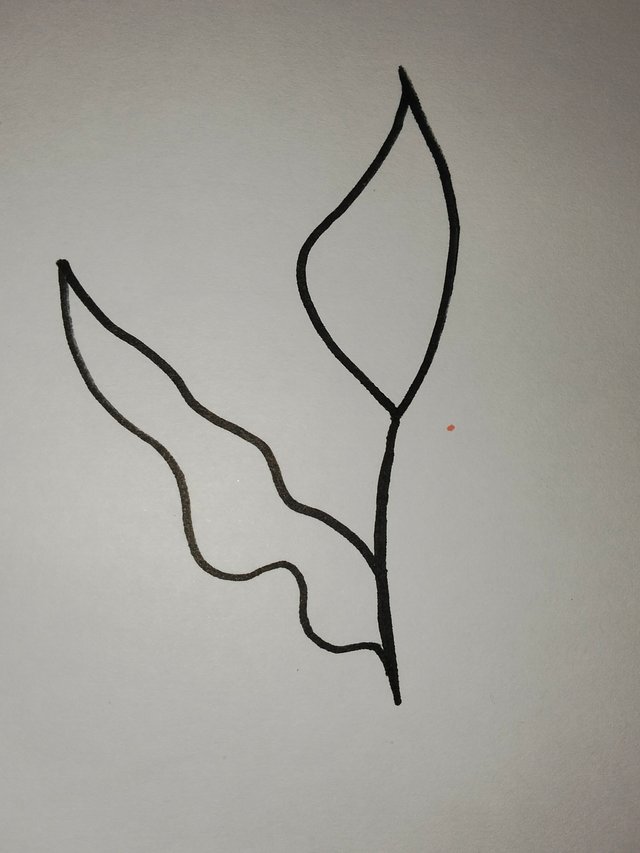 IMG20250720185924.jpg