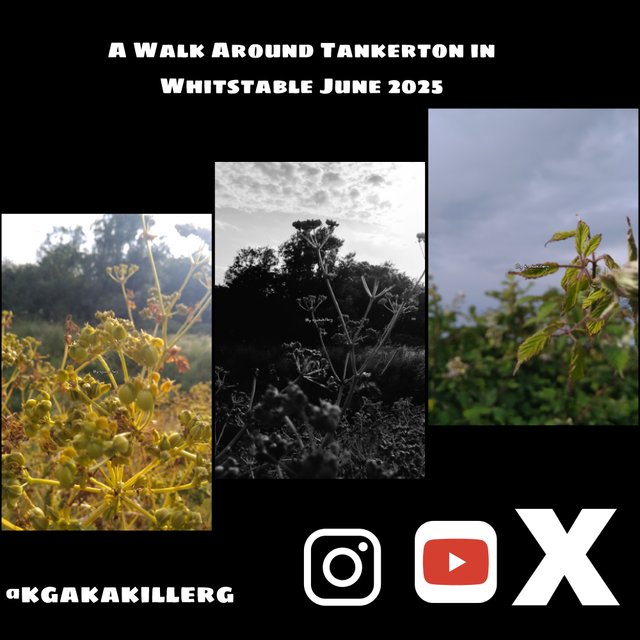 kgakakillerg original content