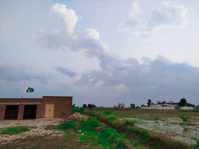 IMG_20250925_181522.jpg