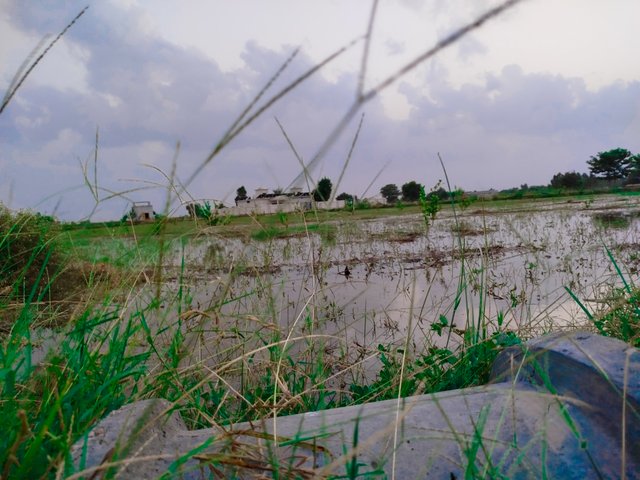 IMG_20250925_181424.jpg