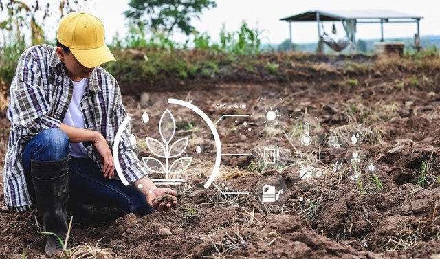 farmer-holding-ground-hands-closeup-male-hands-touching-soil-field_184421-1363.jpg